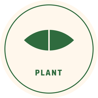 Vegan leaf badge